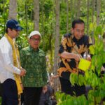 UGM Ambil Alih Pengelolaan Hutan Wanagama 621 Hektar di IKN.pacificmusicworks (2)