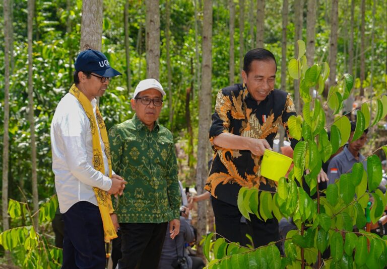 UGM Ambil Alih Pengelolaan Hutan Wanagama 621 Hektar di IKN.pacificmusicworks (2)