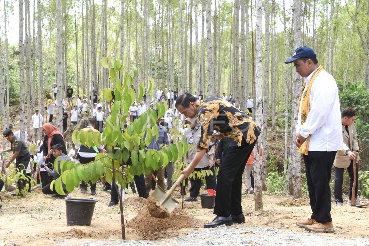 UGM Ambil Alih Pengelolaan Hutan Wanagama 621 Hektar di IKN.pacificmusicworks (3)